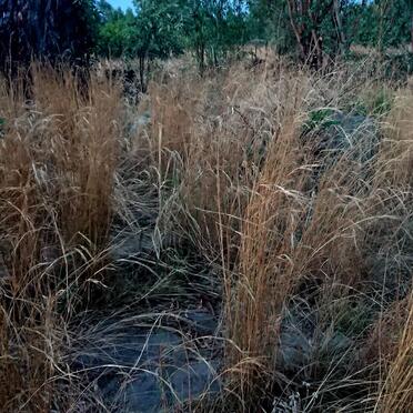 2. Oorsig / Overview