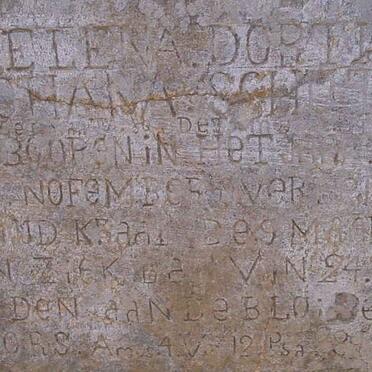 SCHUTTE Elena Dortha Johana 1888-1900