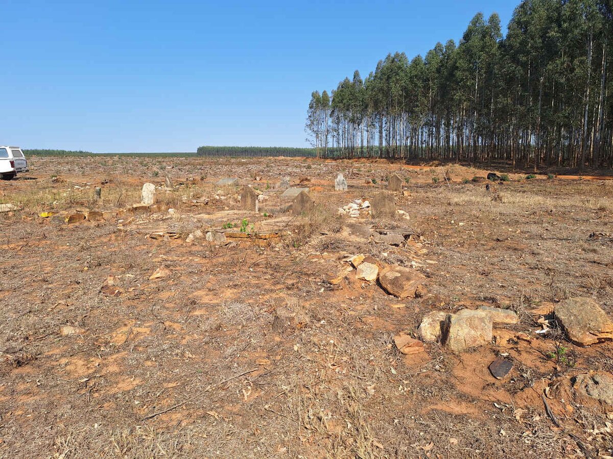 1. Overview / Oorsig