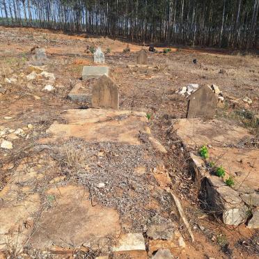 3. Overview / Oorsig