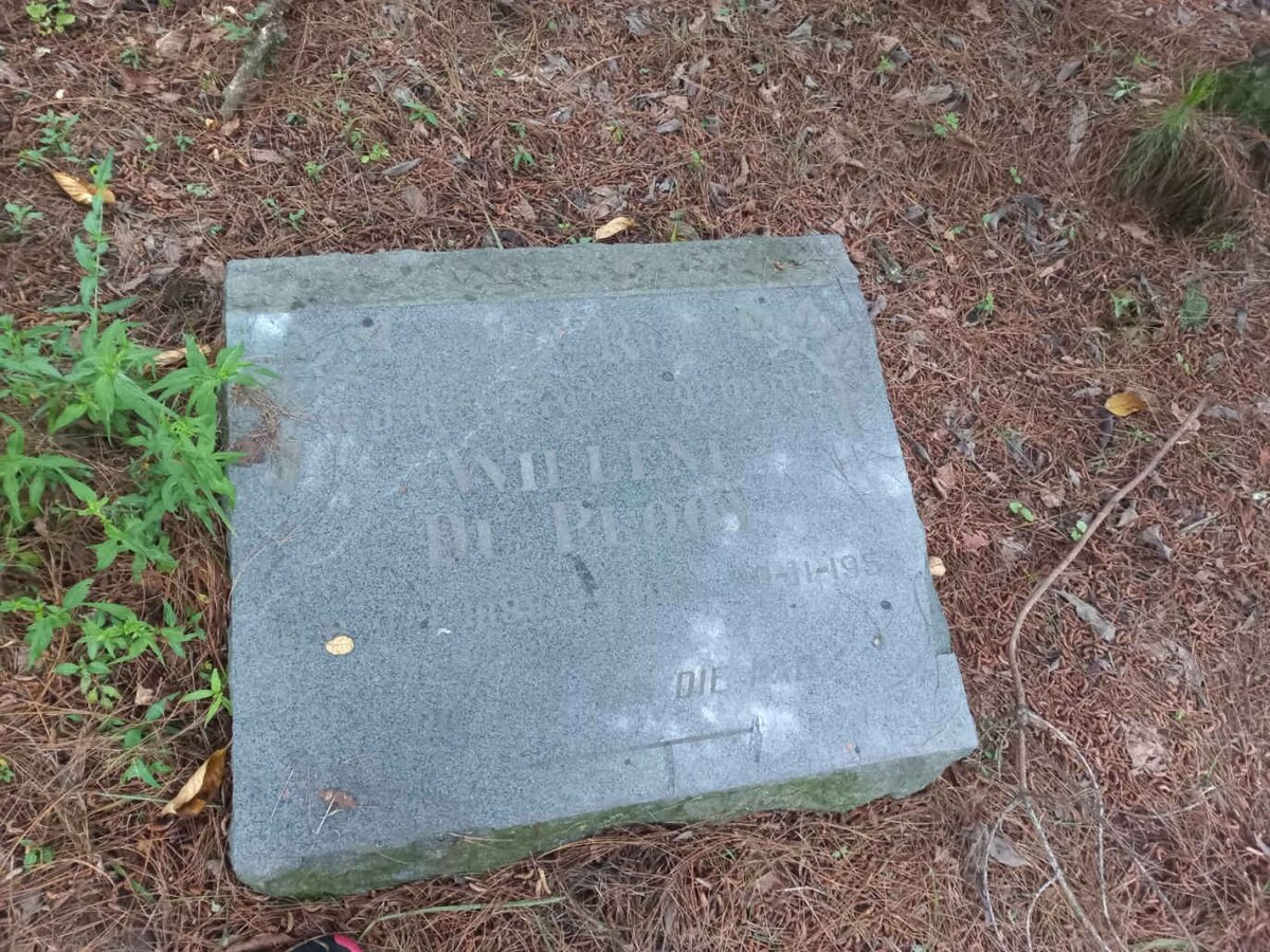 PLOOY Willem, du 1888-1956