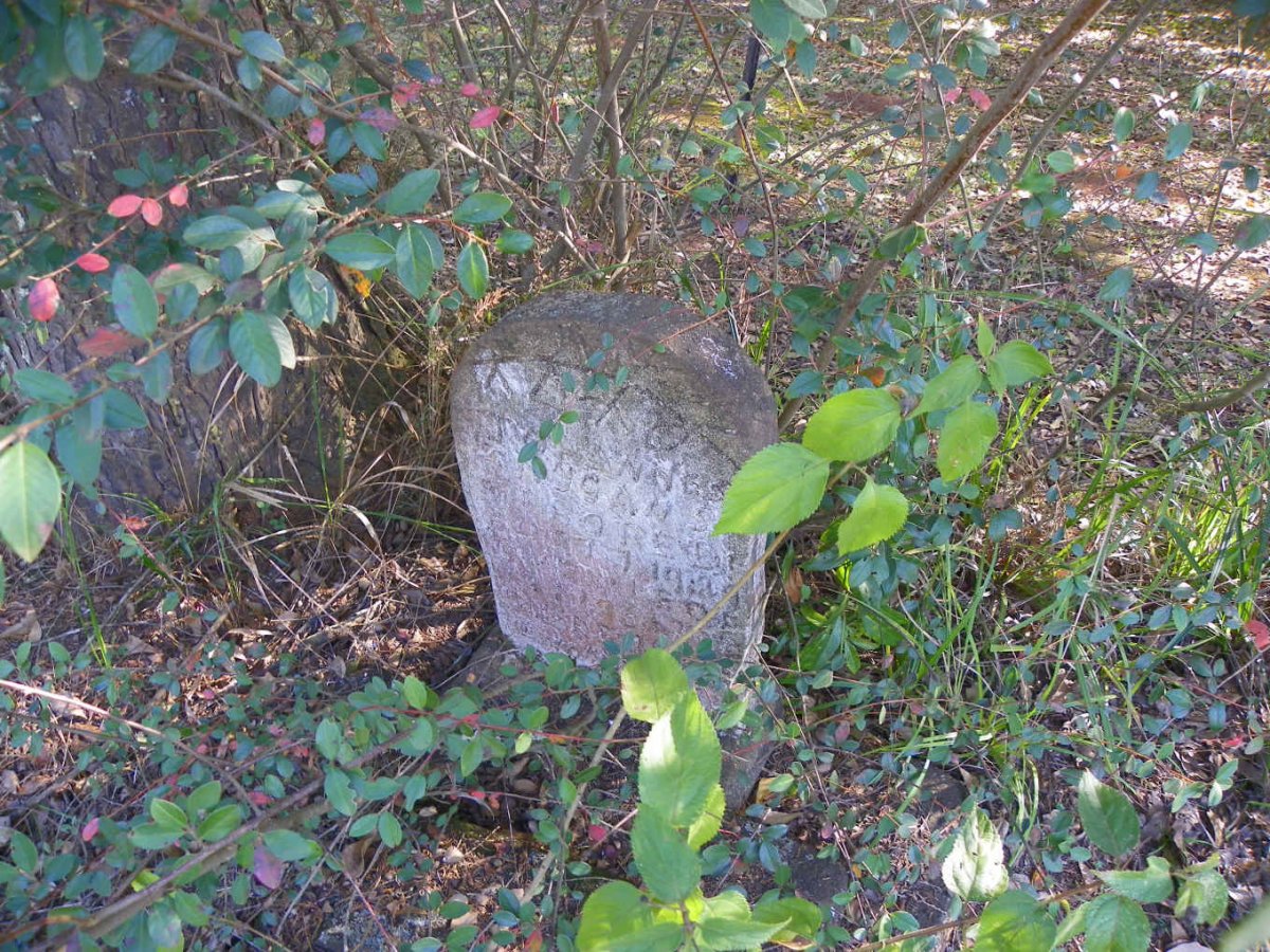 SNYGANS Johannes 1929-1931