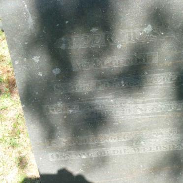 WEBER Simon Petrus 1865-1936