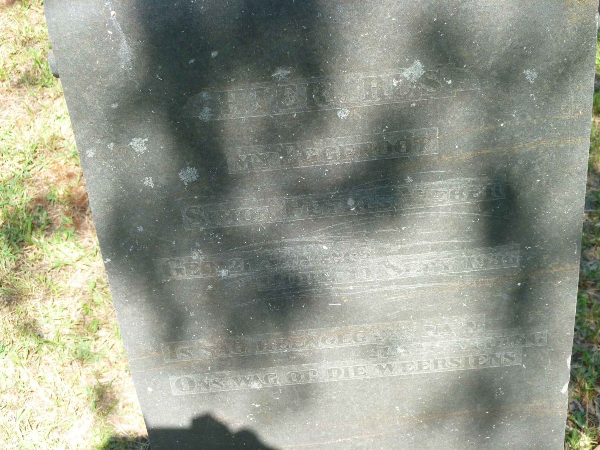 WEBER Simon Petrus 1865-1936