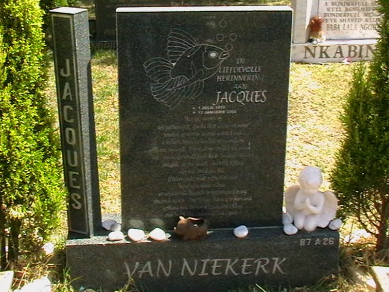 NIEKERK Jacques, van 1979-2004