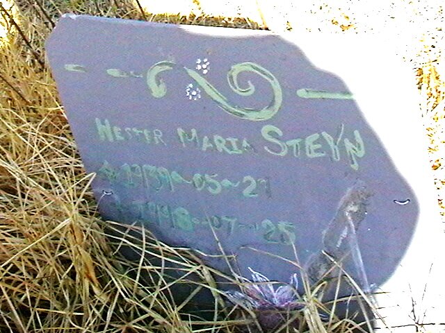 STEYN Hester Maria 1939-1998