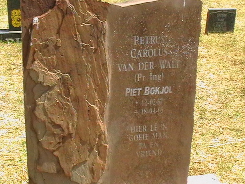 WALT Petrus Carolus, van der 1957-2005