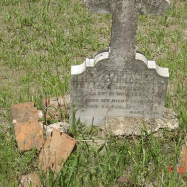 HILDEBRAND Irmgard 1895-1896