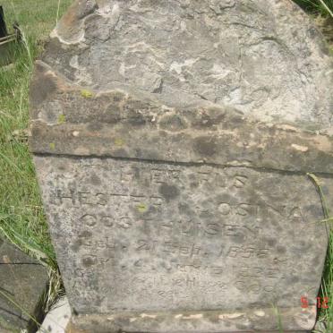 OOSTHUIZEN Hester Josina 1858-1932