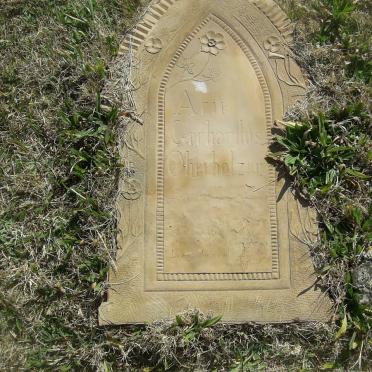 OBERHOLZER Arie Gerhardus ?