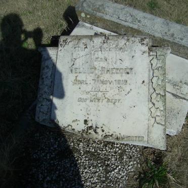 RHEEDER Nellie  -1918