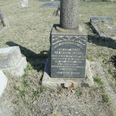 REDELINGHUIS J.E. 1900-1922