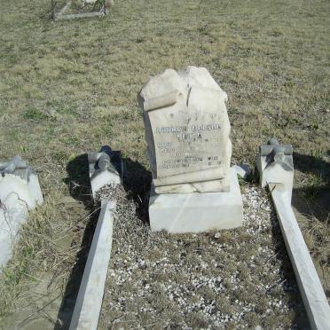 SMITH Andrew Nelson  -1919