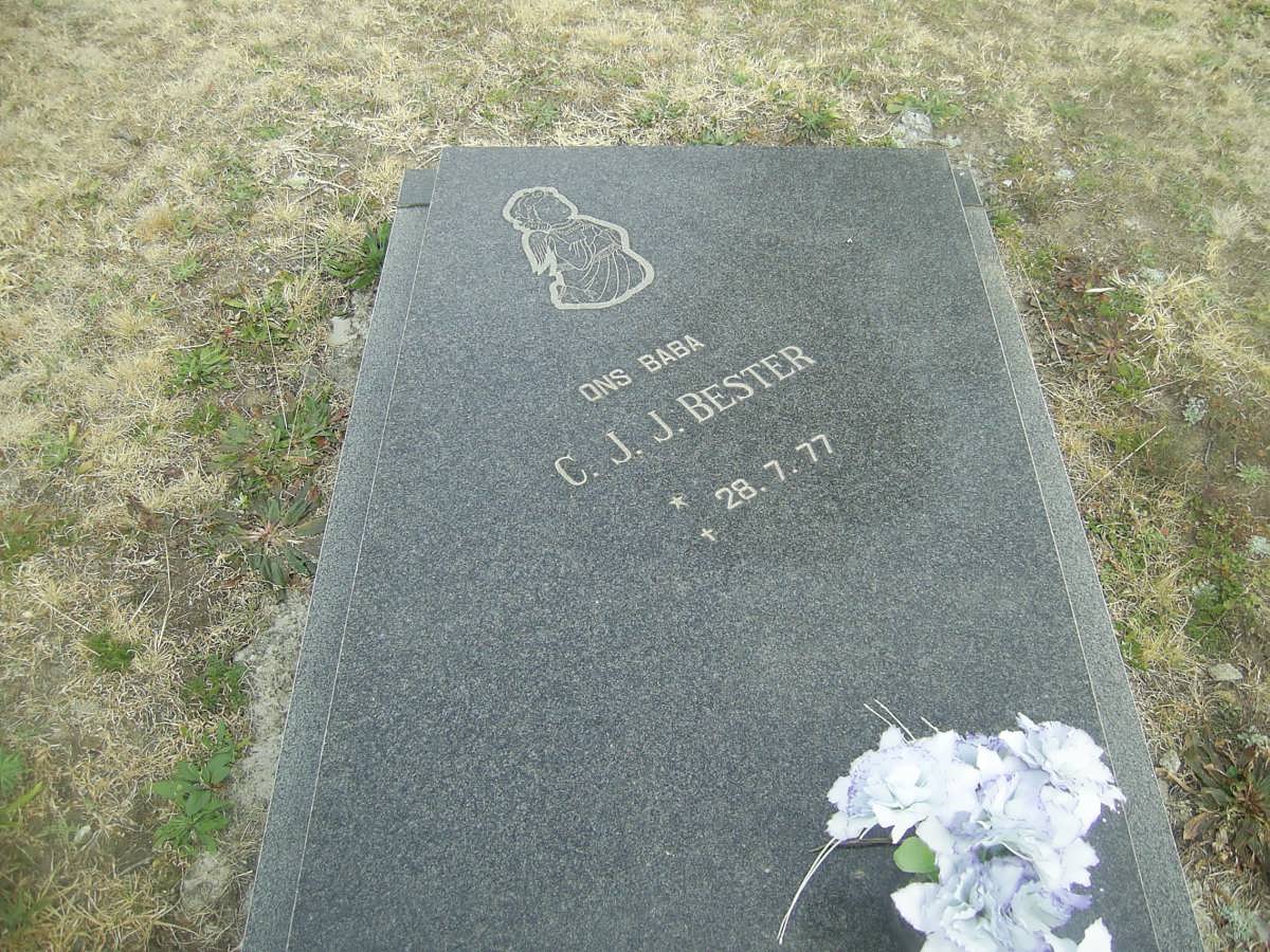 BESTER C.J.J. 1977-1977