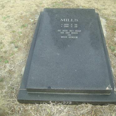 MILLS Baby 1986-1986