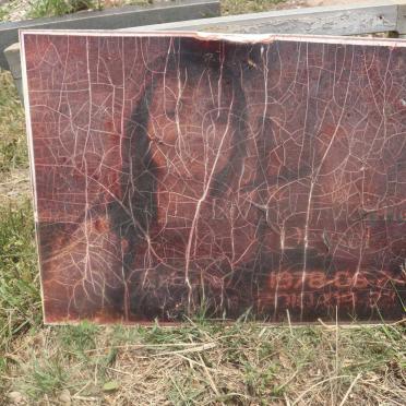 DEYSEL Louise Jacomien 1978-2010