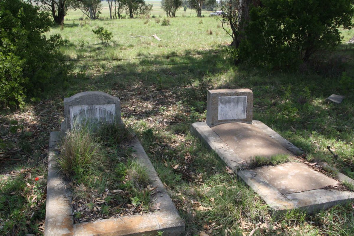 1. Oorsig oor GREYLING grafte