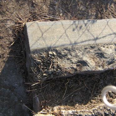 Mpumalanga, STANDERTON district, Rietkuil 397 IS, farm cemetery_1