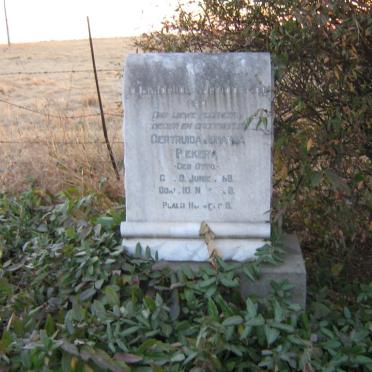 Mpumalanga, STANDERTON district, Niekerksvley 380 IS, farm cemetery_2