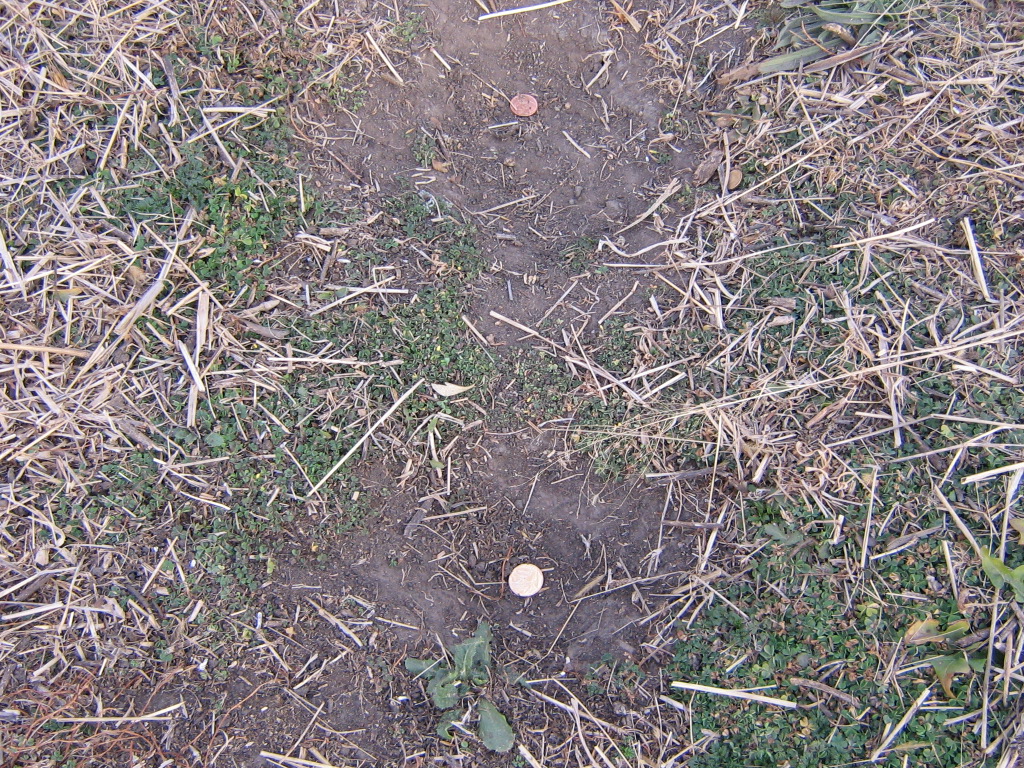 2. Spot where Daniel P ERASMUS was electrocuted - no grass grows on this spot