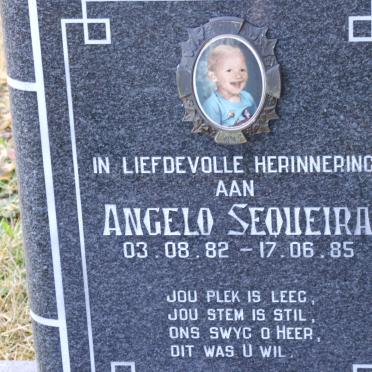 SEQUEIRA Angelo 1982-1985