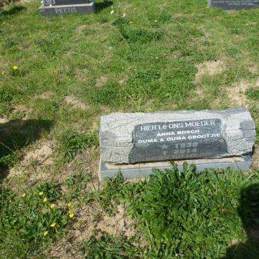 BOSCH Anna 1938-2014