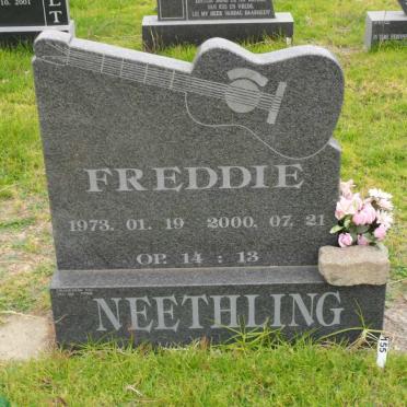 NEETHLING Freddie 1973-2000