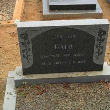 RHEEDER Gato 1897-1987