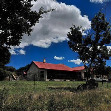Mpumalanga, VOLKSRUST district, Perdekop, Honingvallei 104, farm cemetery