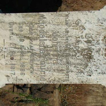 FOURIE Johanna Magdalena nee VAN ROOYEN 1886-1917