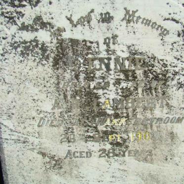 LAMBERT Jennie  -1903 