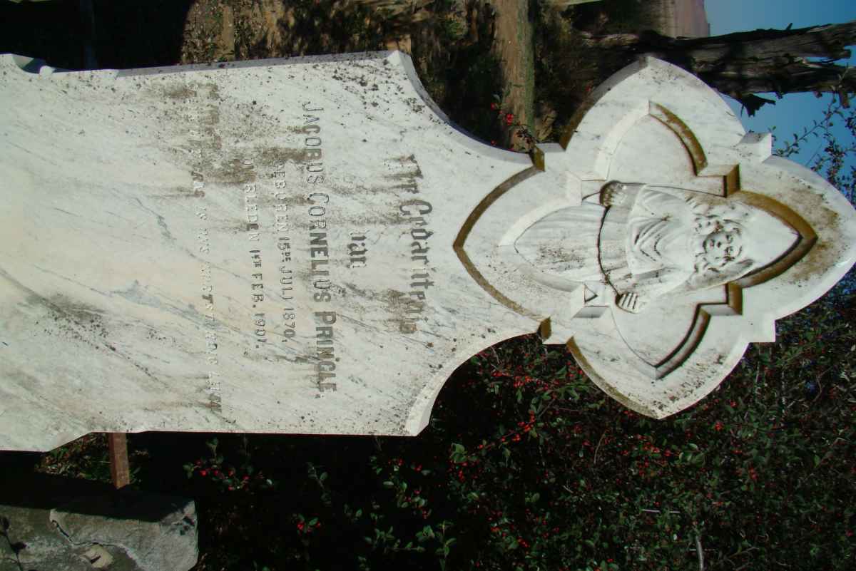 PRINGLE Jacobus Cornelius 1870-1901