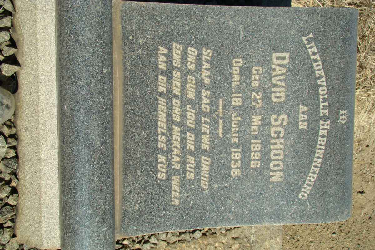 SCHOON David 1896-1936