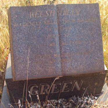 GREEN Welsh Hilly -1949 