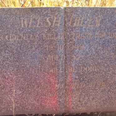 GREEN Welsh Hilly -1949