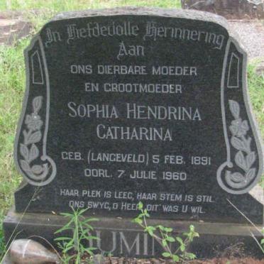 D - Vanne :: Surnames - D