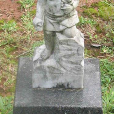 NEL Marthinus S.J.P. 1972-1972