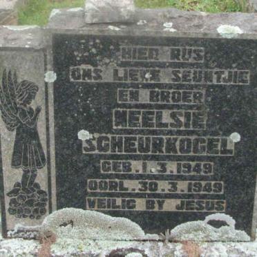 SCHEURKOGEL Neelsie 1949-1949