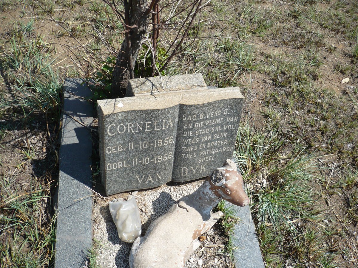 DYK Cornelia, van 1956-1956