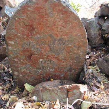 ANDREWS M. -1893