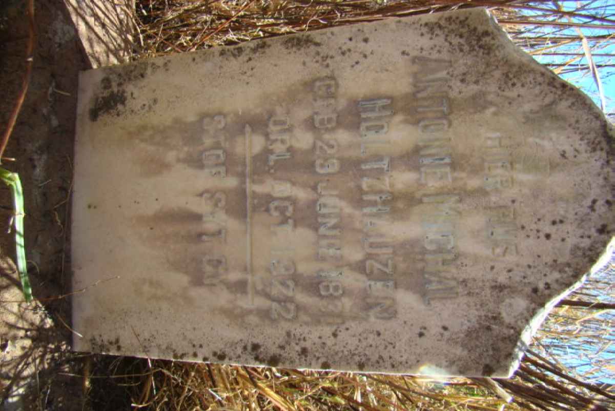 HOLTZHAUZEN Antonie Michal 1831-1922