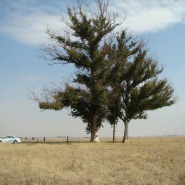 2. Overview / Oorsig