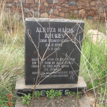 Mpumalanga, BELFAST district, Wintershoek 390 JS, farm cemetery