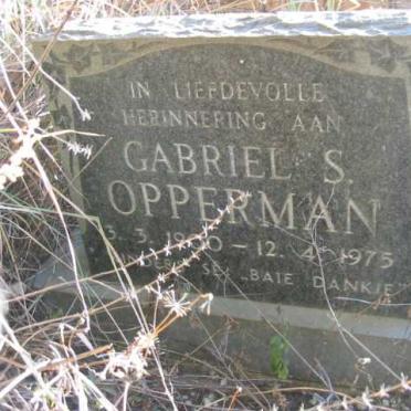 Mpumalanga, BELFAST district, Bergendal, De Goedehoop 362, farm cemetery_2