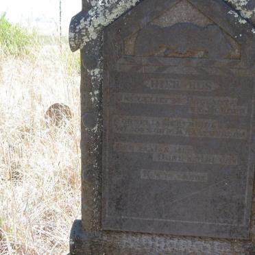 VILJOEN Cornelia Gertruida nee VAN KRAAYENBURG 1867-1938