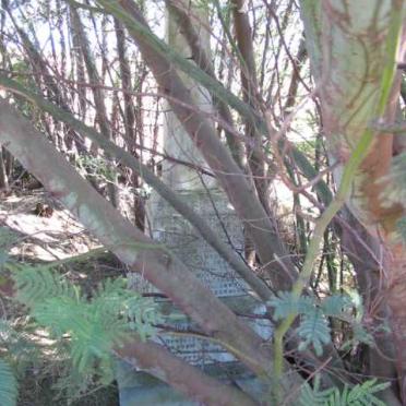 2. Overview / Oorsig