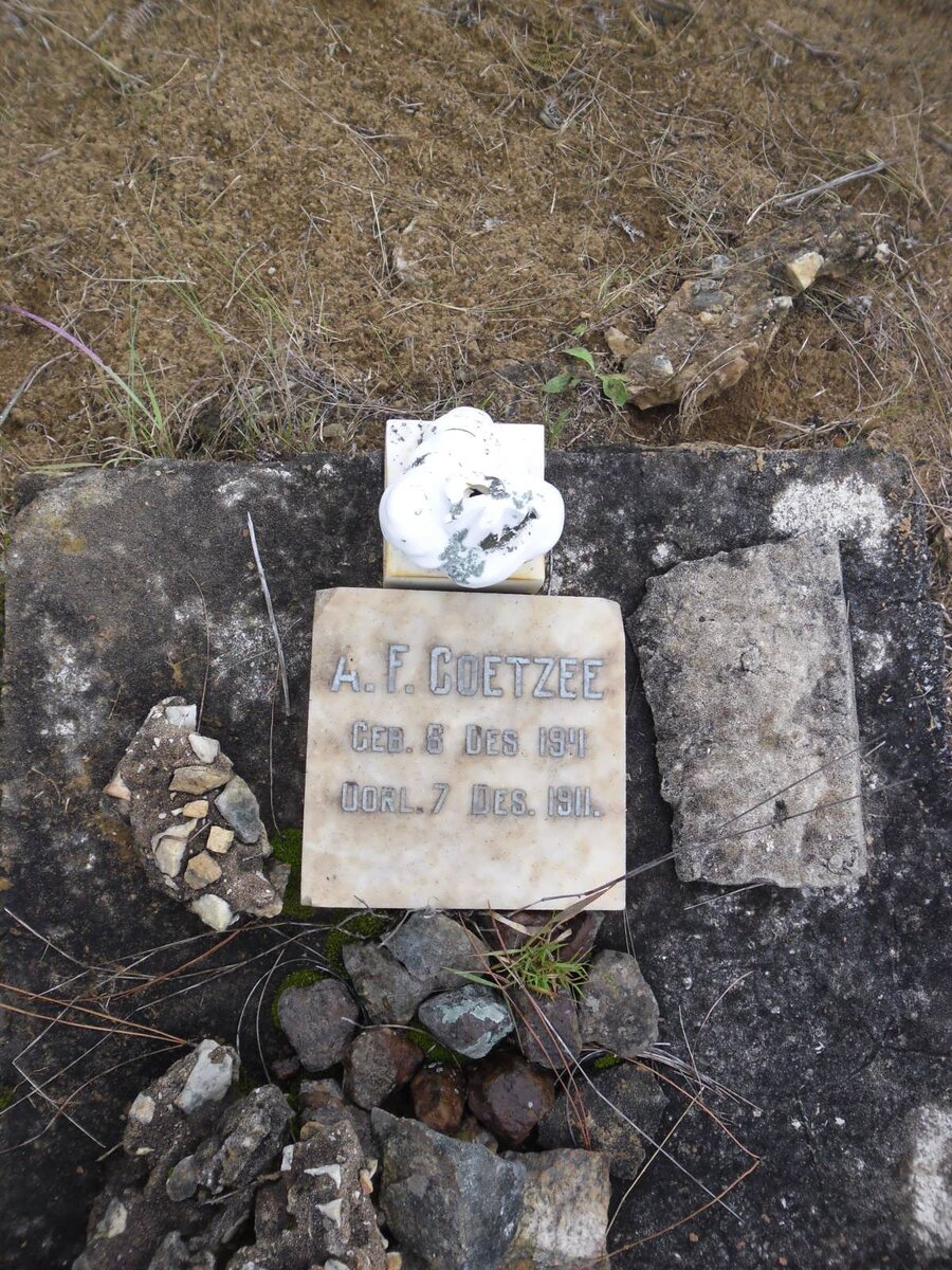 COETZEE A.F. 1911-1911