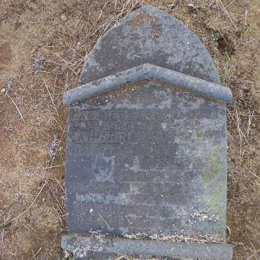 COETZEE Catharina Elizabeth Margaretha