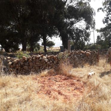 1. Oorsig / Overview