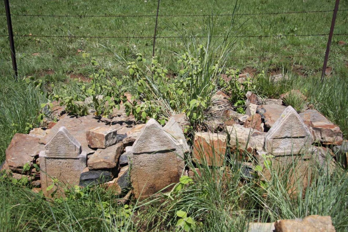 3. Overview / Oorsig